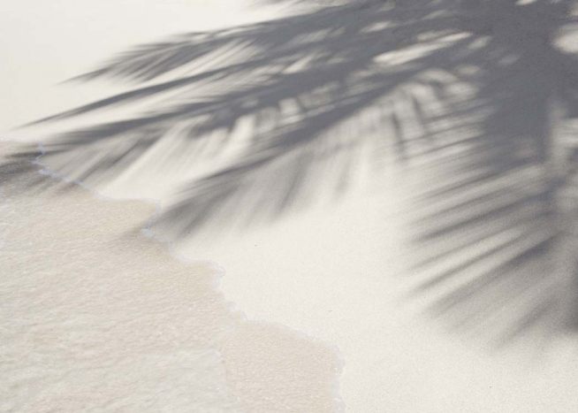  - Relaxing photo poster with the shadow of a palm tree on a white beach.