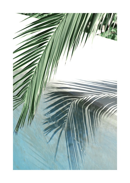 Poolside Palm Reflection Poster / Photographs at Desenio AB (10666)