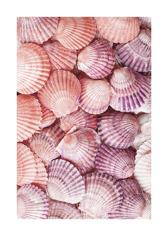 Purple Seashells Poster - Colourful seashells - desenio.eu