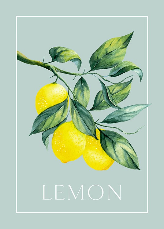 Vintage Lemons Poster Lemons desenio.eu