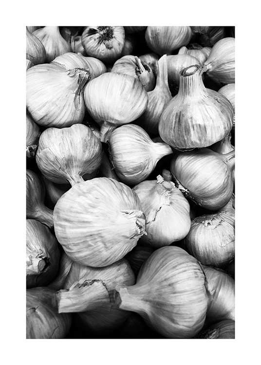 - Black and white photograph of garlics in a bunch