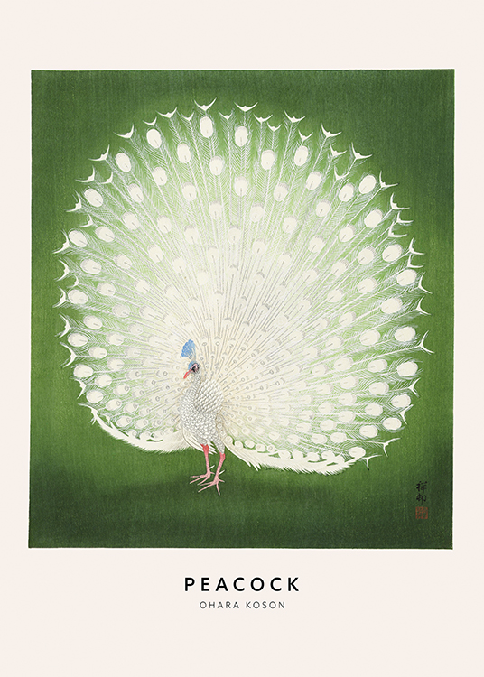  – Illustration of a peacock with white feathers against a green background with texture