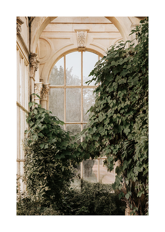  – Overgrown plants in an orangery