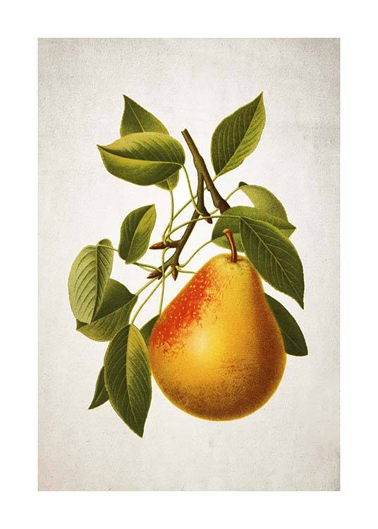 Pear Poster / Kitchen at Desenio AB (3515)
